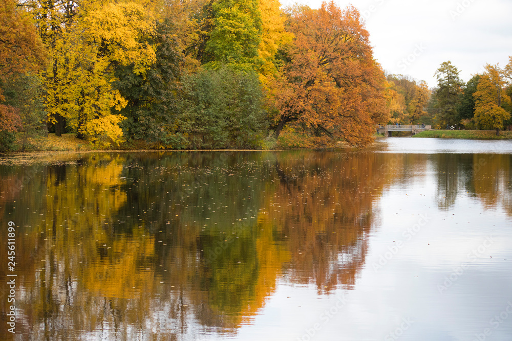 autumn landscape with lake and trees