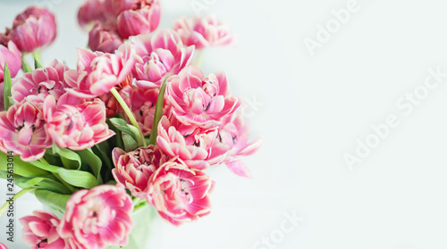 Bouquet of pink tulips. close up of a tender spring bouquet. bridal bouquet of tulips on a light background.