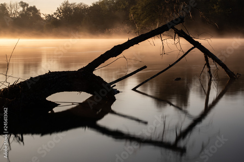 autumn morning