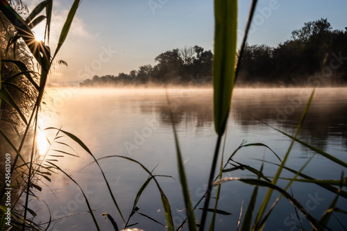 autumn morning