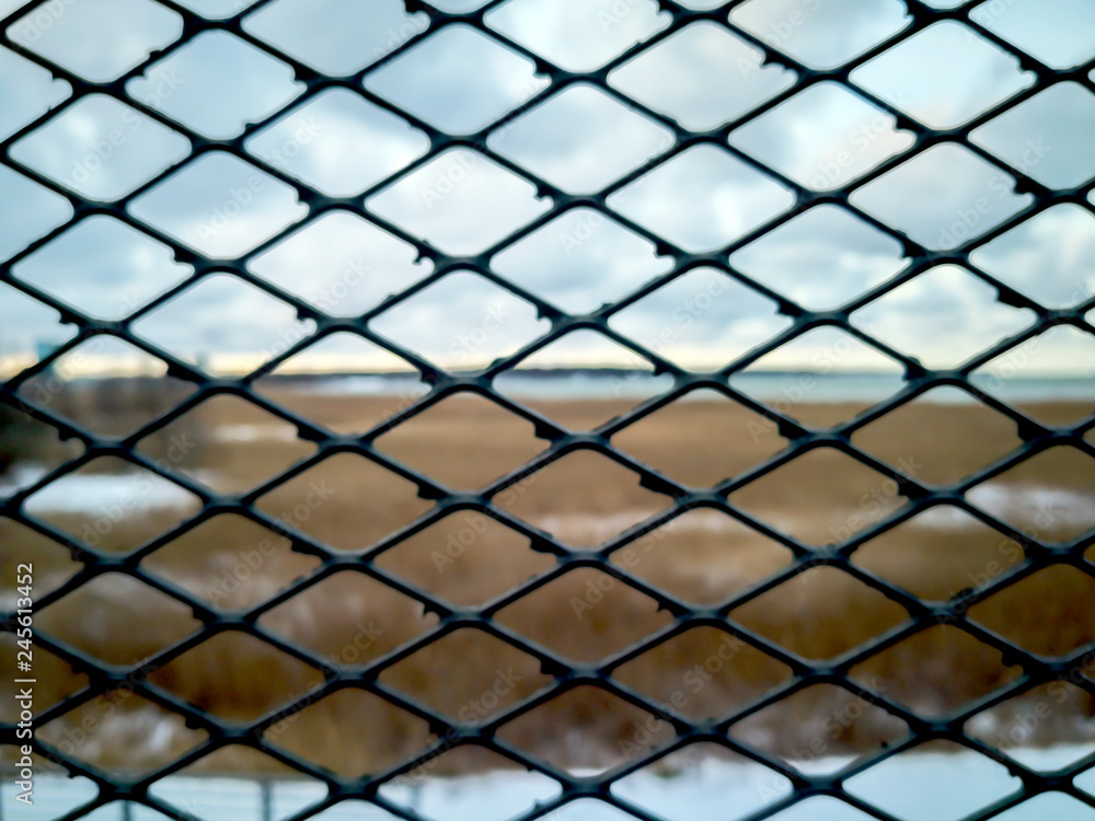 Fototapeta premium Lattice. The winter sea