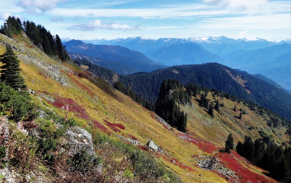 Naklejka premium Colorful fall foliage on Saul Mountain with a view of the North Cascades