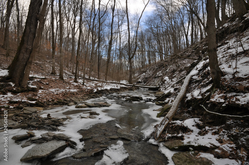 Frozen stream in forest in winter