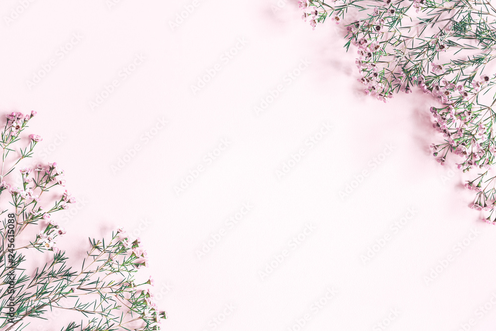 Flowers composition. Frame made of pink flowers on pastel pink background. Valentine's Day, Mother's Day, Women's day concept. Flat lay, top view, copy space Flowers composition. Frame made of pink flowers on pastel pink background. Valentine's Day, Mother's Day, Women's day concept. Flat lay, top view, copy space