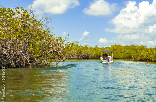 Mangrove Forest in Morrocoy National Park and the Boat with Tourists, Venezuela photo