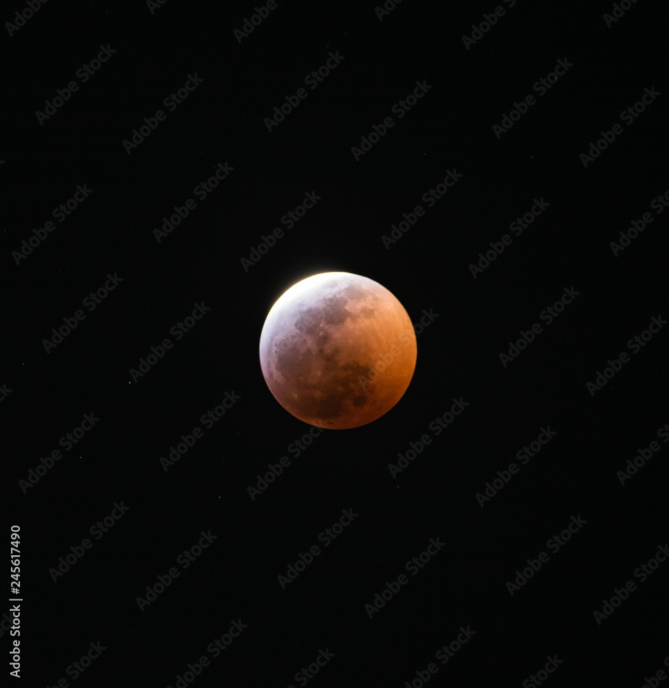 The Super Blood Wolf Moon Eclipse of 2019	
