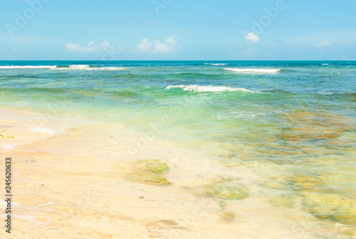 The Waterside of a One of Small, Sandy Islands on the Caribbean Sea at the Venezuelan Coast with Coral Reef, Close to town Chichiriviche, Morrocoy National Park