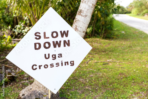 Uga Crossing Road Sign