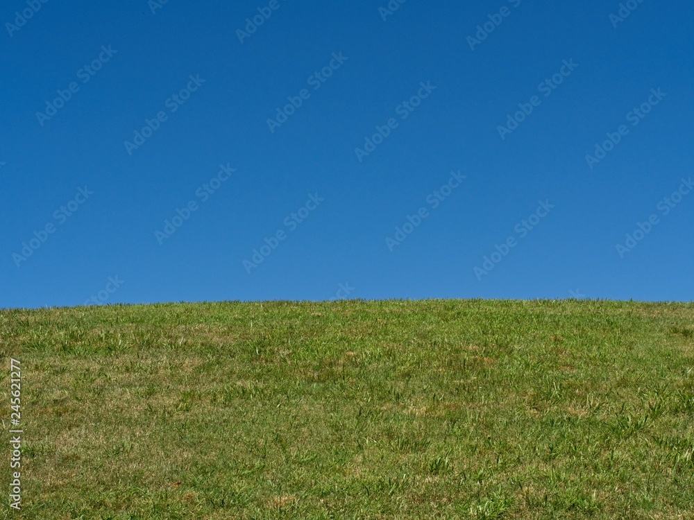 Fototapeta premium grass and sky