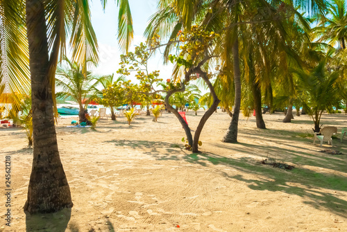 One of Many Small Islands on the Caribbean Coast of Venezuela that Are Very Popular for Tourism, Close to Town Chichiriviche, Morrocoy National Park photo