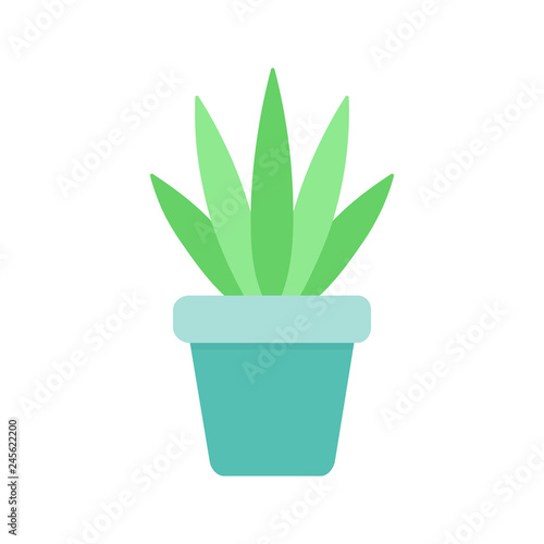 Cute cactus in blue plant pot vector illustration. Isolated agave succulent, web or print icon.