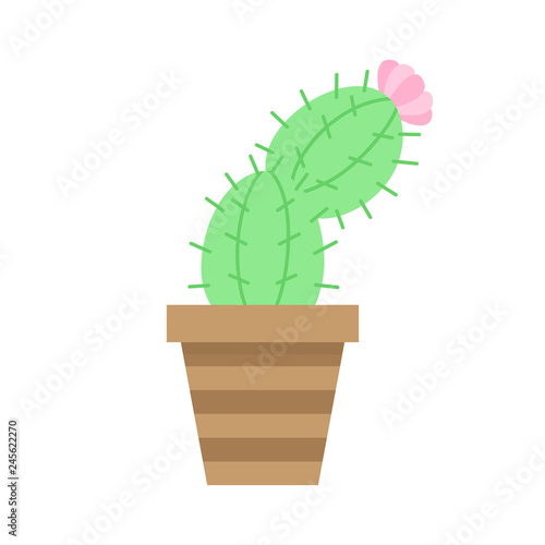 Cute cactus in brown plant pot with pattern, vector illustration. Isolated succulent with pink flower, web or print icon. 