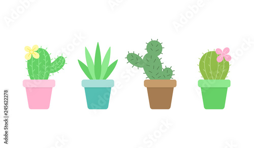 Cute cactus set, four different cacti in little plant pots, vector illustrations,  succulent isolated icon collection.