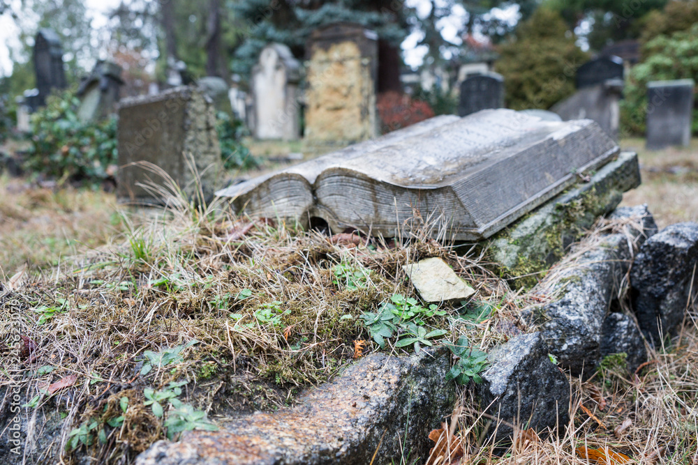 Obraz premium grab, efeu, frrieden