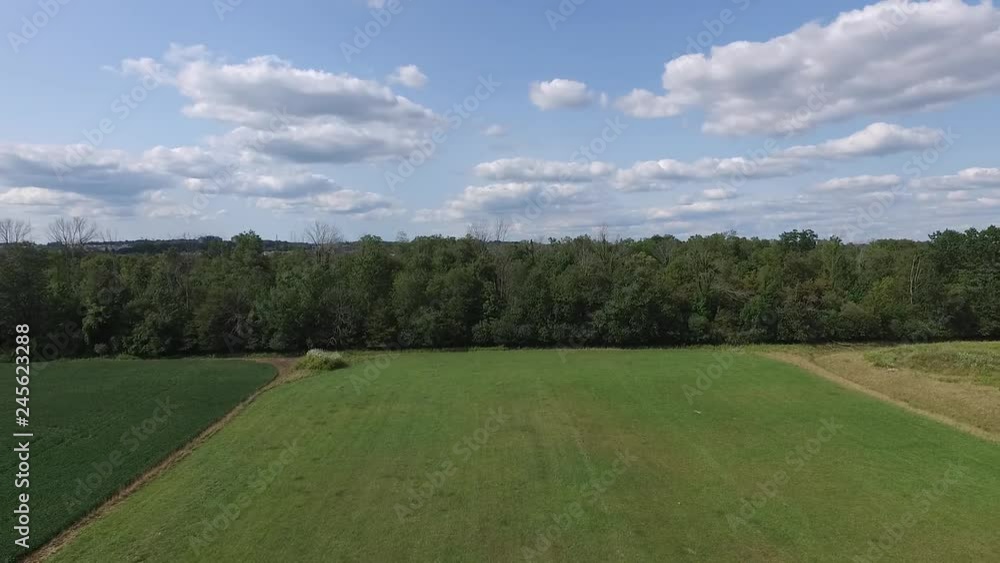 Flying Away From Forest Trees Aerial View Revealing Parking Lot And Small Fish Pond Flying Away From Forest Trees Aerial View Revealing Parking Lot And Small Fish Pond