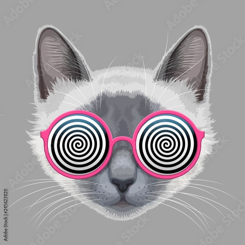 Cat face and hypnotic eyeglasses