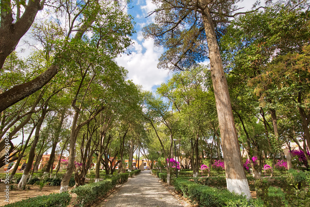Atrium of Olives (Atrio de los Olivos) park in front of Francisco Javier Church in Tepotzotlan