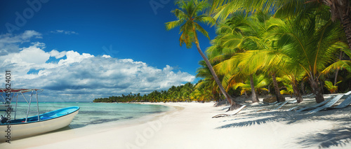 Palm trees and speed boat catamaran on the tropical beach, Dominican Republic. Saona island.