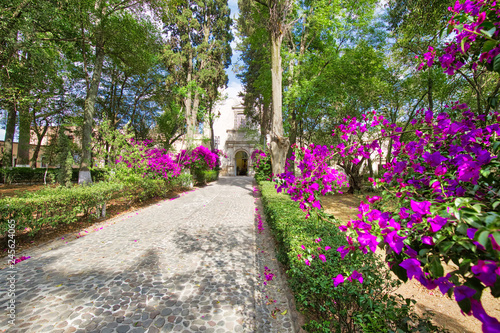 Fototapeta Naklejka Na Ścianę i Meble -  Atrium of Olives (Atrio de los Olivos) park in front of Francisco Javier Church in Tepotzotlan