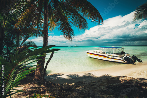 Fototapeta Naklejka Na Ścianę i Meble -  Island Saona. Palm trees and speed boat on the tropical beach, Dominican Republic