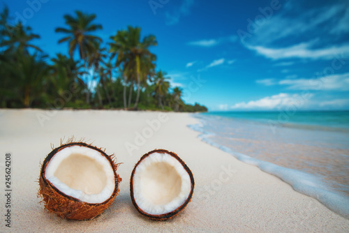 Wallpaper Mural Two halfs of coconut against sea at the tropical sand beach Torontodigital.ca