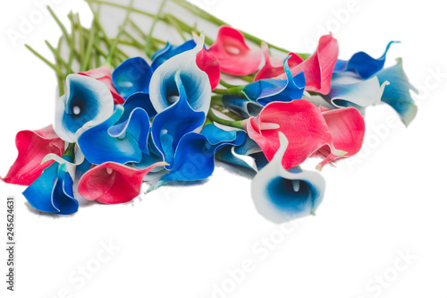 blue and pink flowers on white wooden background