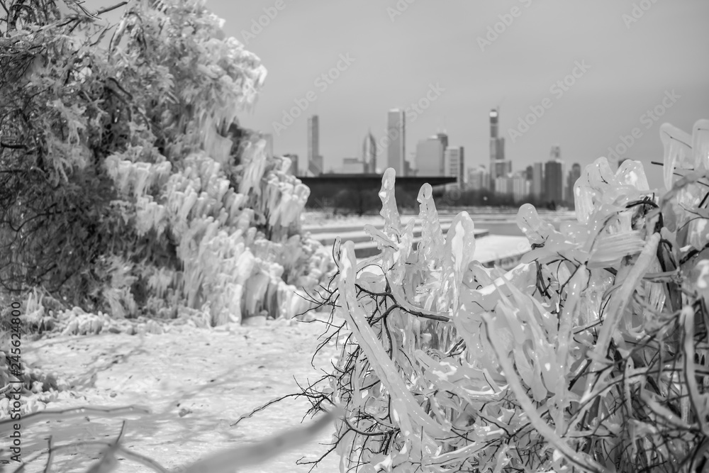 Frozen Winter in Chicago