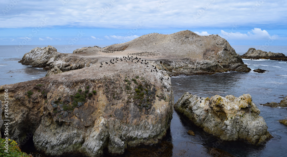 Point Lobos, California views