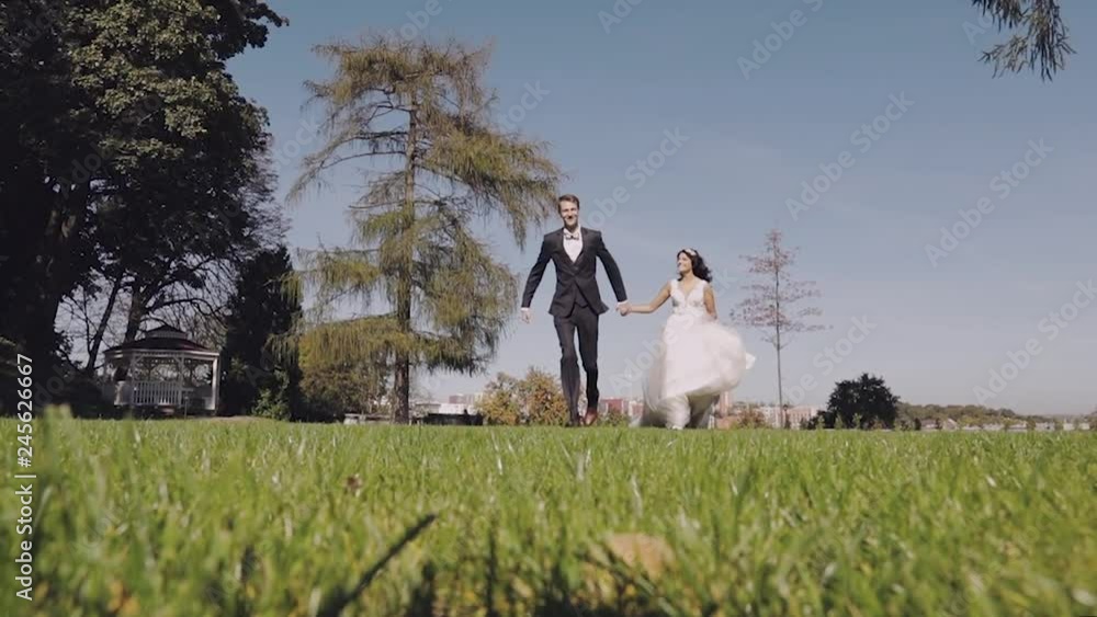 Young and beautiful wedding couple together. Lovely groom and bride. Wedding day. Slow motion Young and beautiful wedding couple together. Lovely groom and bride. Wedding day. Slow motion