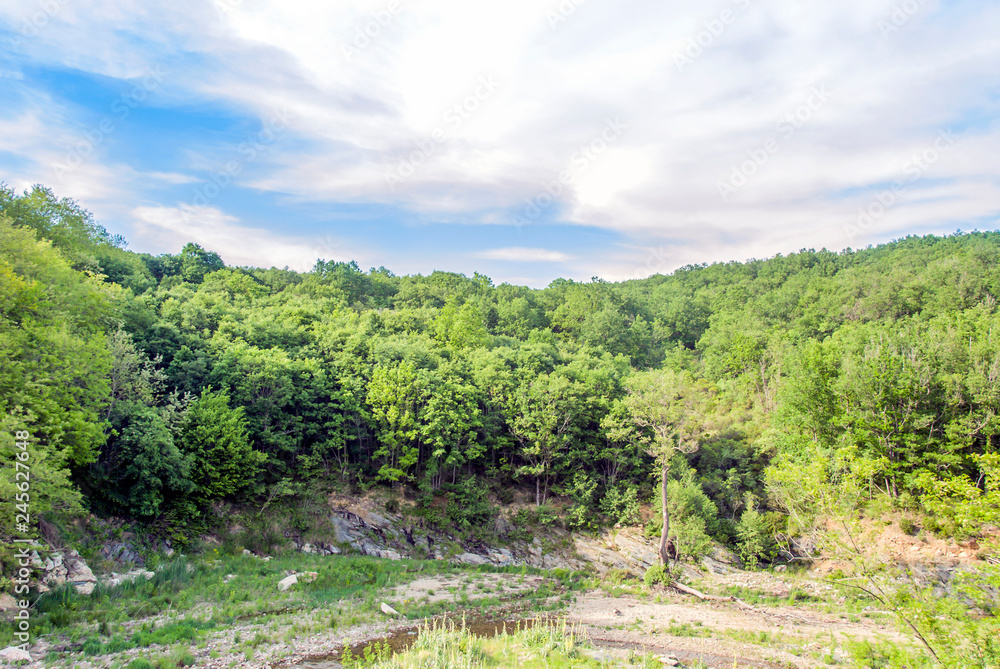 Kirklareli, Turkey, 19 May 2017: Woods of Kiyikoy, Vize Kirklareli, Turkey, 19 May 2017: Woods of Kiyikoy, Vize