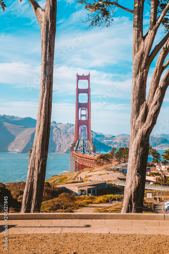 Golden Gate Bridge with cypress trees at Presidio Park, San Francisco, California, USA photo