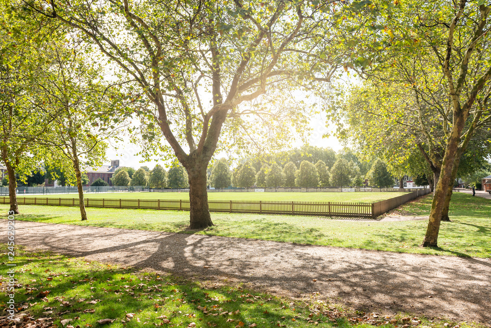 Burton Court green lawn park with sunlight and nobody on path in London, UK by Royal Hospital in Chelsea Burton Court green lawn park with sunlight and nobody on path in London, UK by Royal Hospital in Chelsea
