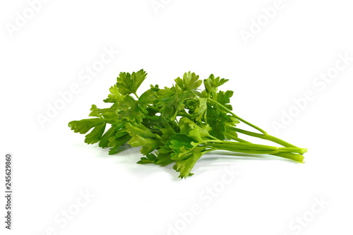 parsley bunch isolated on white background photo