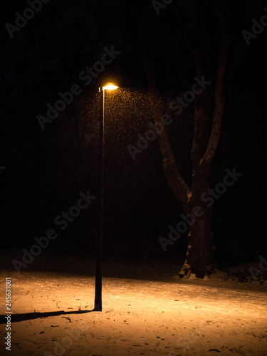 single street lamp in a public park at night during snowfall © frederikloewer