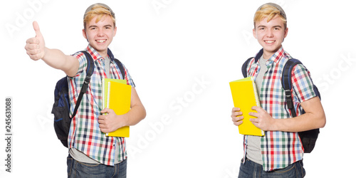 Student with backpack and notes isolated on white 