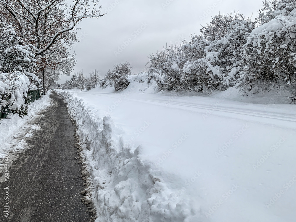 Trister Weg durch eine verschneite Landschaft Trister Weg durch eine verschneite Landschaft