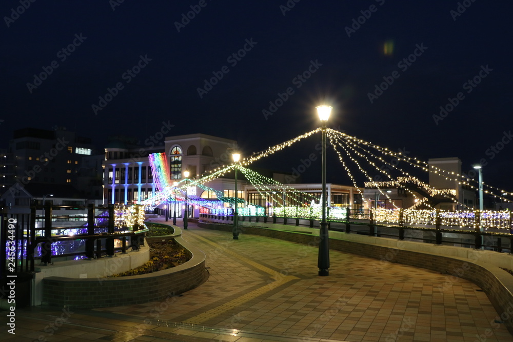 Fototapeta premium 長浜駅のイルミネーション