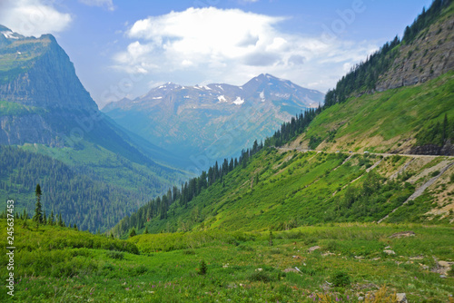The goats and glaciers of Glacier National Park in summer. © bettys4240
