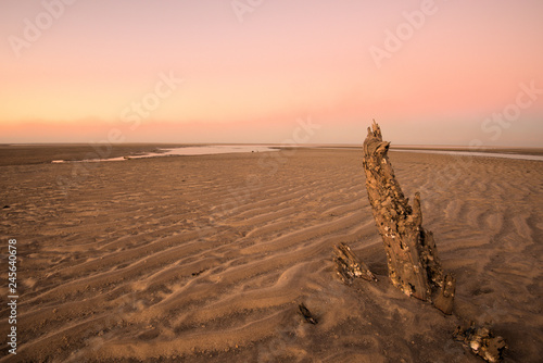 Woodgate beach Queensland, pink glow of sunset, driftwood foreground photo