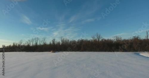 Wallpaper Mural Flying Over Snow Towards Forest In Winter With Blue Sky Aerial View Torontodigital.ca