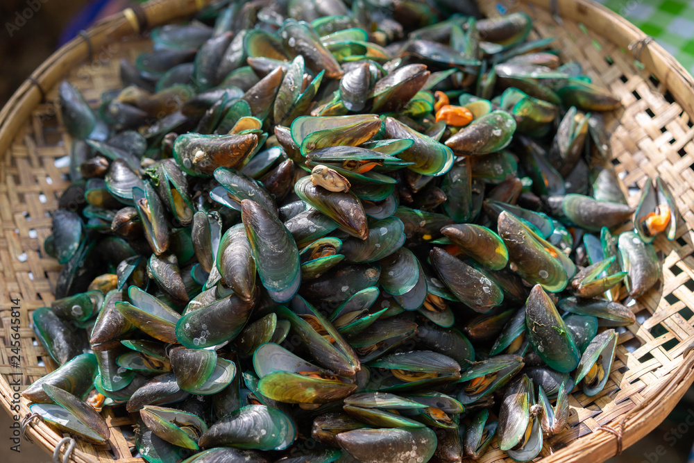 Mussel still seafood