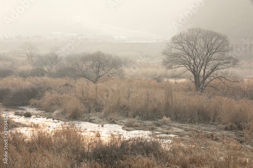 Wallpaper Mural 강가의 일출시간의 안개와 미세먼지 Torontodigital.ca