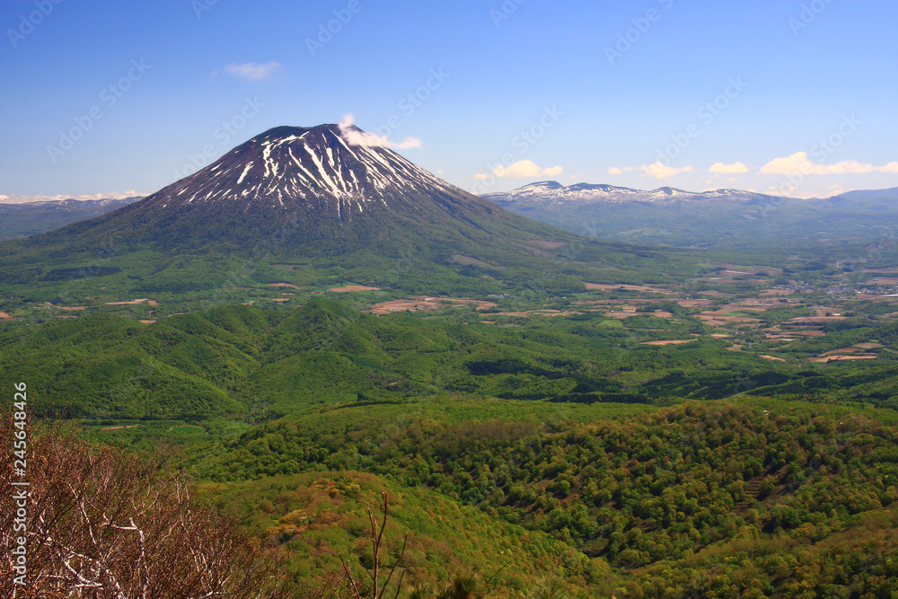 Mt.Yotei seen from Konbudake in early summer
