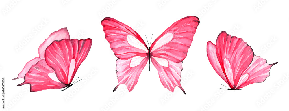 Watercolor set of pink butterfly isolated on white background Stock ...