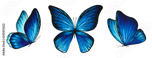 Three watercolor blue bright butterflies