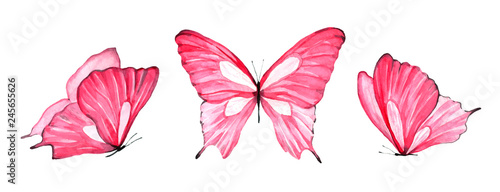 Watercolor set of pink butterfly isolated on white background