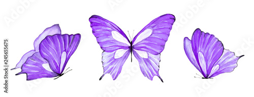 Watercolor set of purple butterfly isolated on white background © Artur