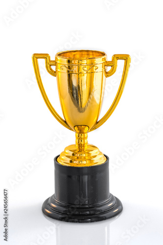 Miniature trophy on a white background