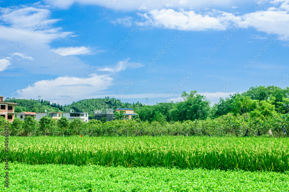 The mountains and rural scenery The mountains and rural scenery