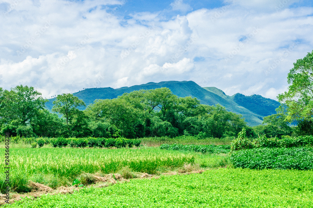 The mountains and rural scenery The mountains and rural scenery